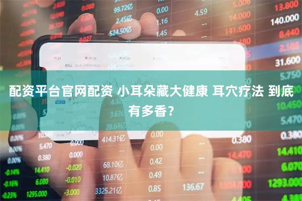配资平台官网配资 小耳朵藏大健康 耳穴疗法 到底有多香？